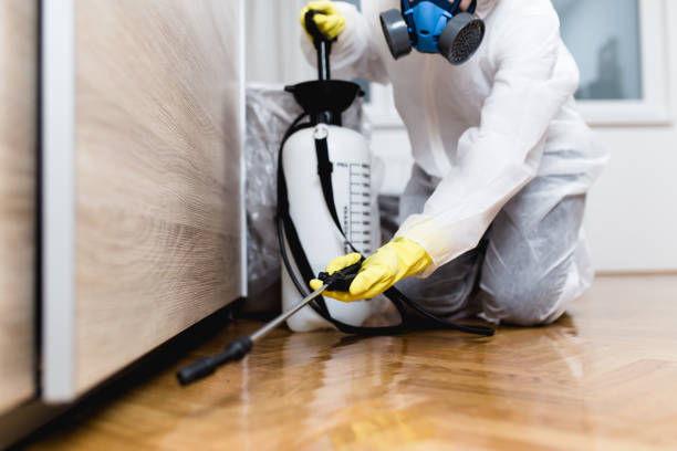 Best Flea Control Services  in Washington Court House, OH