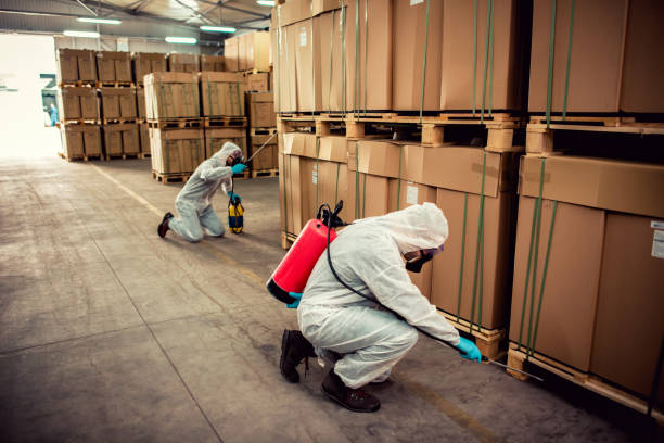 Best Best Pest Control Companies  in Washington Court House, OH