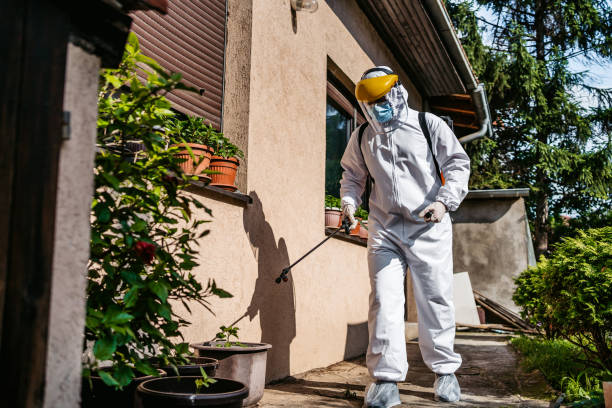 Best Ant Control Services  in Washington Court House, OH