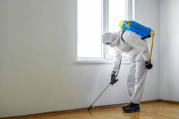 Best Local Pest Control Services  in Washington Court House, OH
